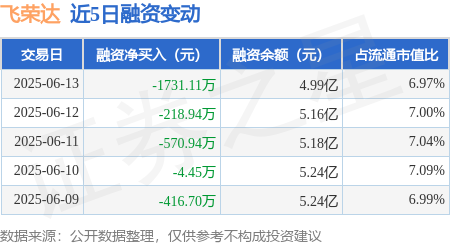 京海策略 飞荣达：6月13日融资买入1152.14万元，融资融券余额4.99亿元