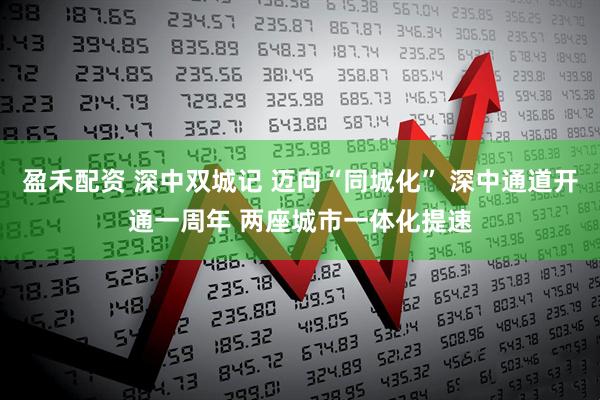 盈禾配资 深中双城记 迈向“同城化” 深中通道开通一周年 两座城市一体化提速