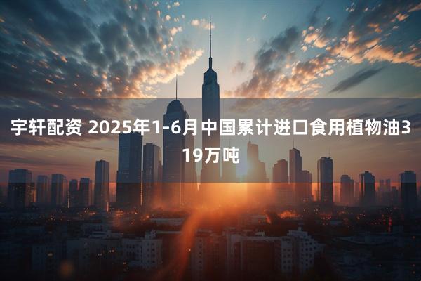 宇轩配资 2025年1-6月中国累计进口食用植物油319万吨