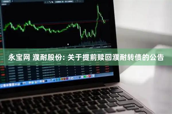 永宝网 濮耐股份: 关于提前赎回濮耐转债的公告